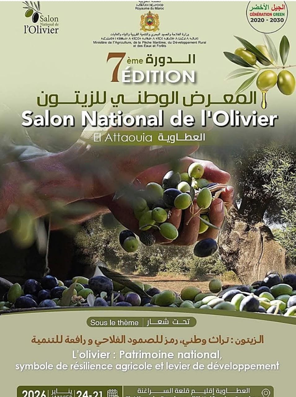 العطاوية تحتضن المعرض الوطني للزيتون