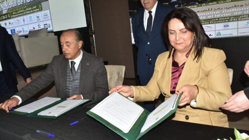 العطاوية..توقيع اتفاقيات شراكة لتعزيز الاستثمار الفلاحي بجهة مراكش-آسفي