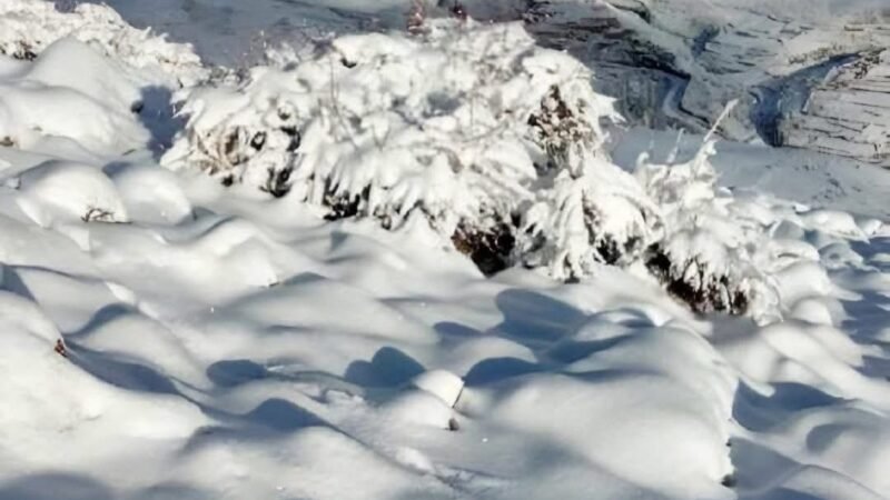 توقعات طقس اليوم الجمعة