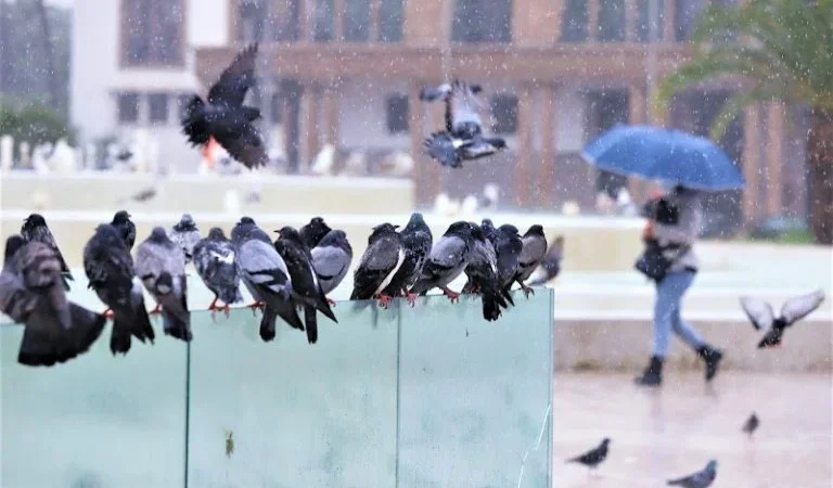 توقعات طقس اليوم الاثنين