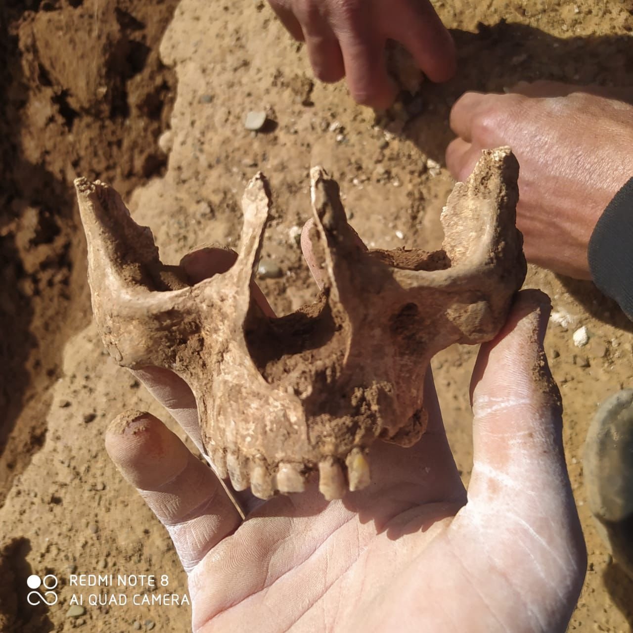 العثور على عظام بشرية يستنفر سلطات رأس عين الرحامنة ـصور