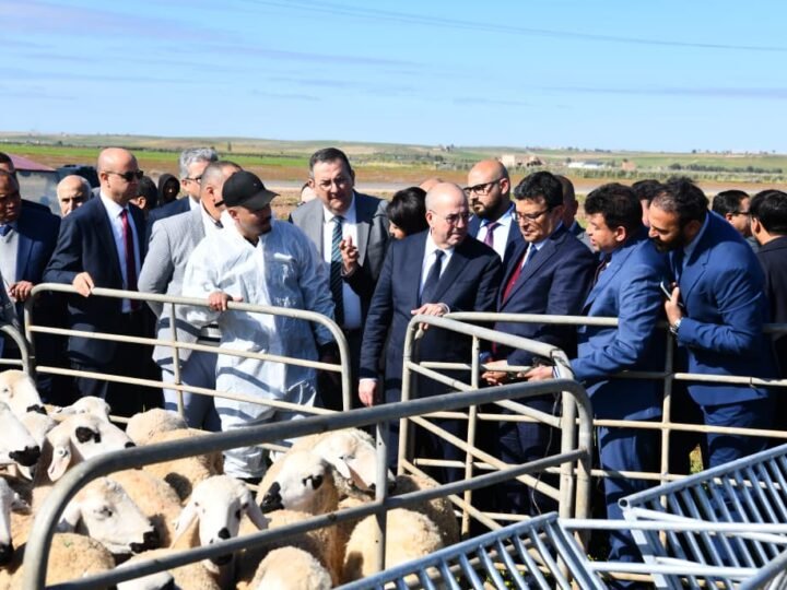 وزير الفلاحة وعامل الرحامنة يطلقان مشاريع تضامنية