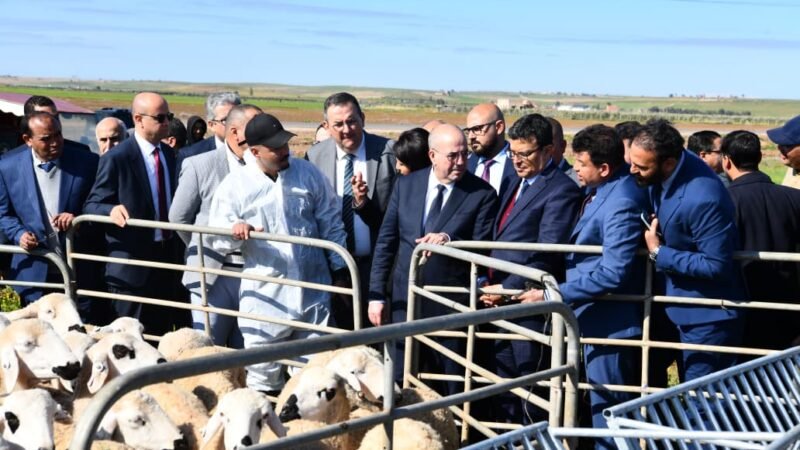 وزير الفلاحة وعامل الرحامنة يطلقان مشاريع تضامنية