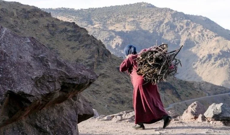 توقعات طقس اليوم السبت