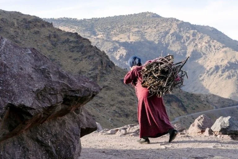 توقعات طقس اليوم السبت