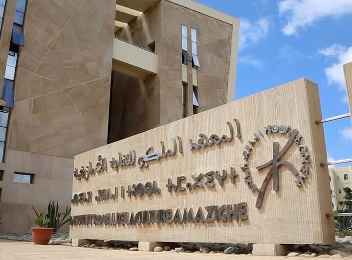 المعهد الملكي للثقافة الأمازيغية يحتفي باليوم العالمي للغة الأم