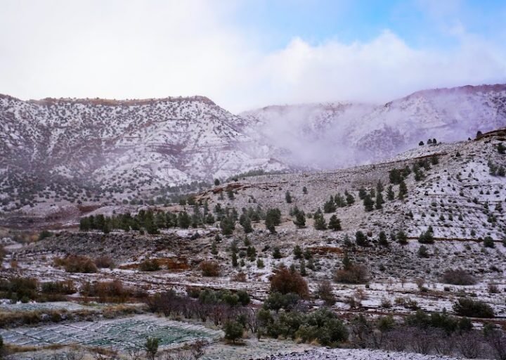 توقعات طقس اليوم الجمعة