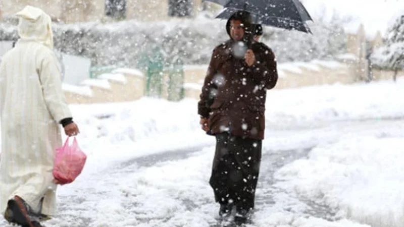 نشرة إنذارية: موجة برد وأمطار قوية