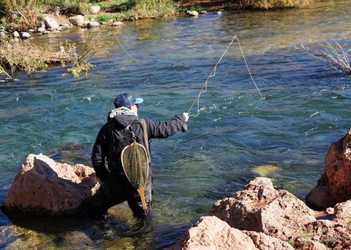 موسم الصيد بالمياه البرية يُفتتح غدا الأحد
