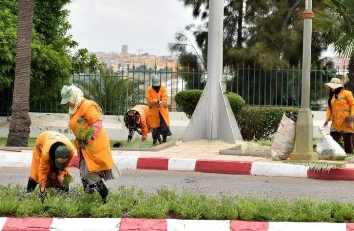 تقارير رسمية تكشف خروقات توظيف العرضيين بالجماعات: أشباح وأقارب..ورؤساء يقتطعون من التعويضات ويشغلون عمالا في مشاريعهم الخاصة