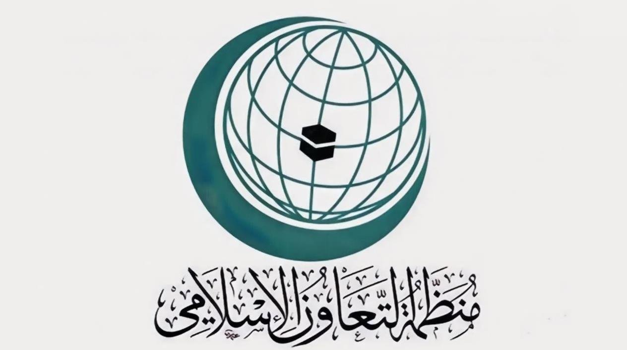 منظمة التعاون الإسلامي تدين الاعتداءات الإسرائيلية على جنوب سوريا