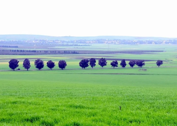 طقس اليوم الثلاثاء..أمطار وسماء غائمة