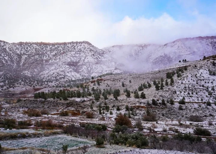 نشرة إنذارية: طقس بارد ورياح قوية