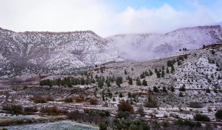 نشرة إنذارية: طقس بارد ورياح قوية