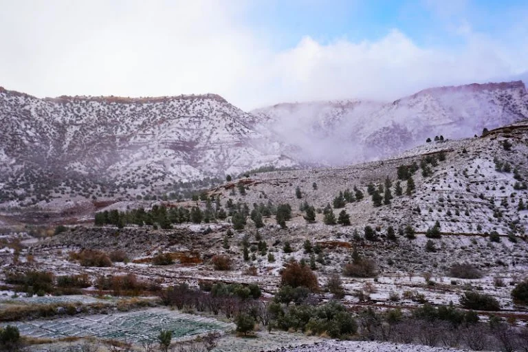 نشرة إنذارية: طقس بارد ورياح قوية