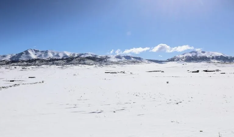 طقس اليوم الجمعة..أمطار وثلوج وسماء غائمة