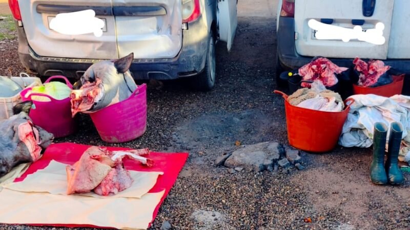 الدرك يوقف 3 أشخاص بحوزتهم 330 كلغ من اللحوم الفاسدة بالرحامنة