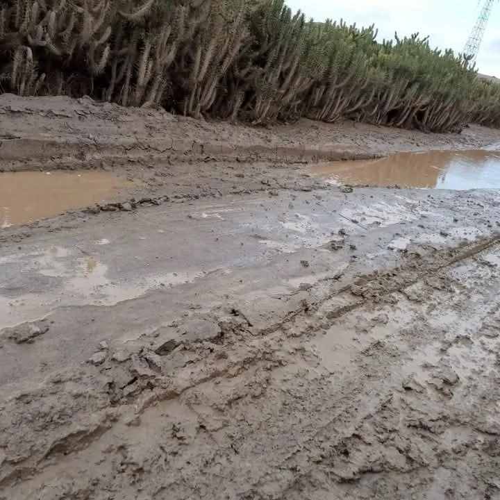 تردي مسلك طرقي يعزل سكان “الركيطة” ضواحي ابن جرير