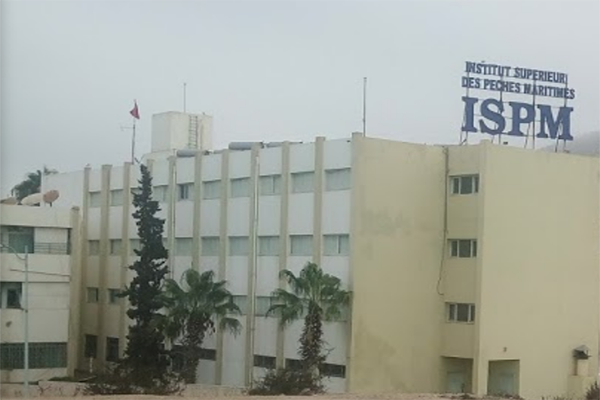 الحكومة تصادق على إعادة تنظيم معهد الصيد البحري