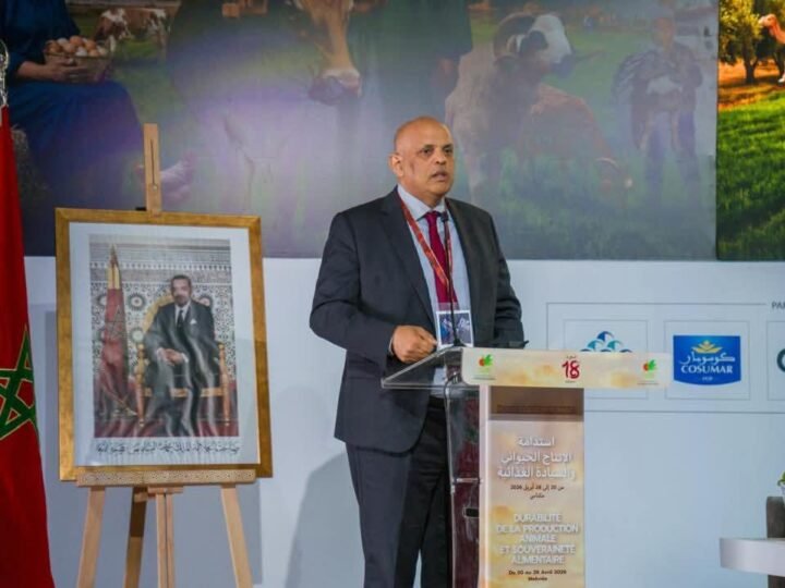 مكناس..منتدى دولي يناقش مستقبل تربية الماشية وتعزيز الأمن الغذائي