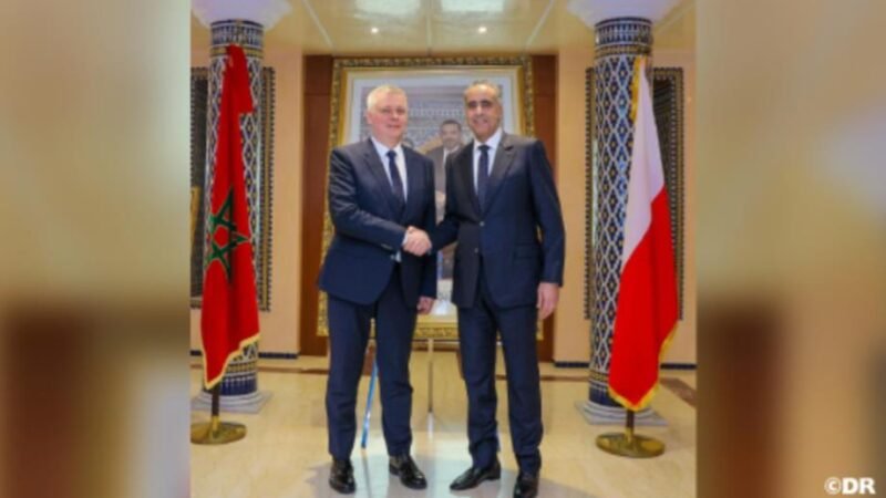 حموشي يستقبل الوزير المكلف بالتنسيق بين المصالح الأمنية ببولونيا