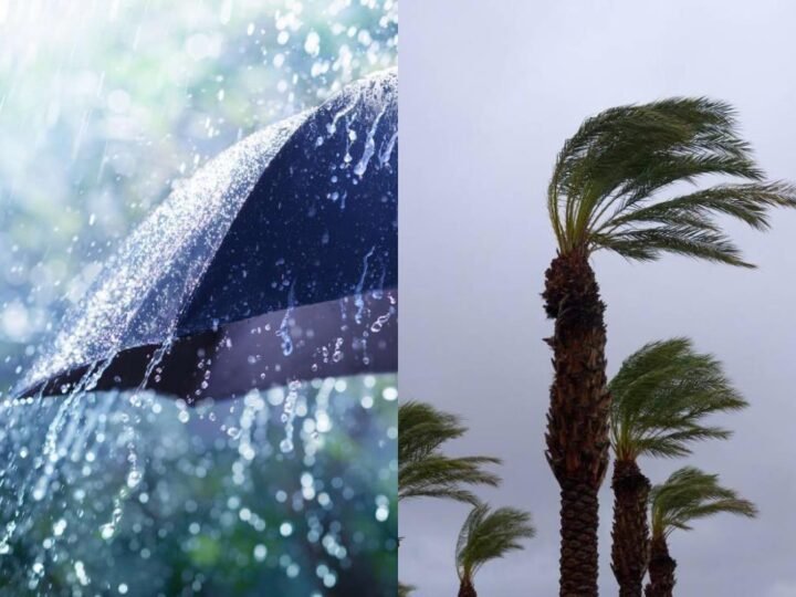 طقس اليوم الأحد..رياح قوية وزخات رعدية