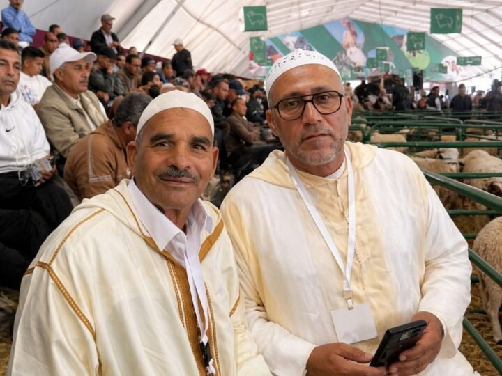 أحمد لكليخ ومحمد كمال من السراغنة والرحامنة يتوجان في ملتقى مكناس