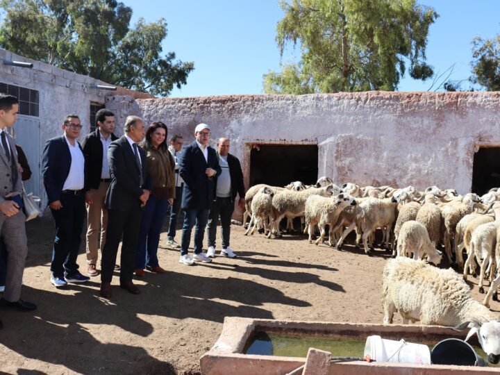 عامل قلعة السراغنة يزور مشاريع فلاحية