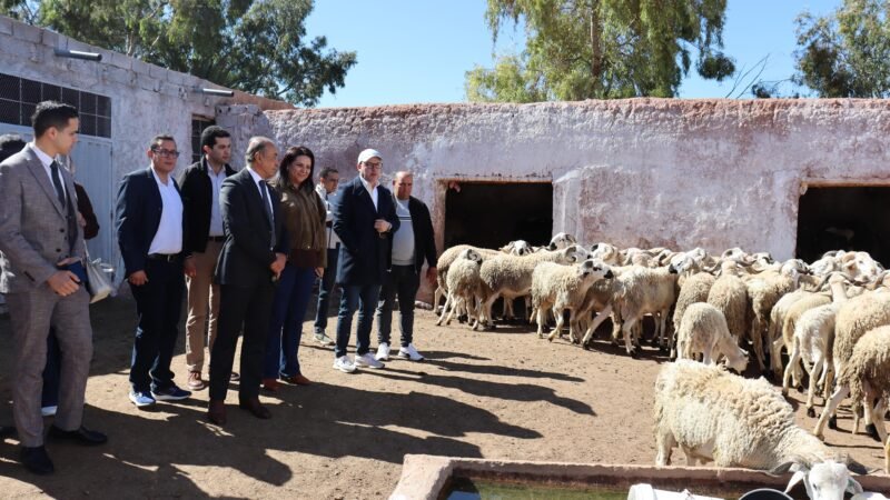 عامل قلعة السراغنة يزور مشاريع فلاحية