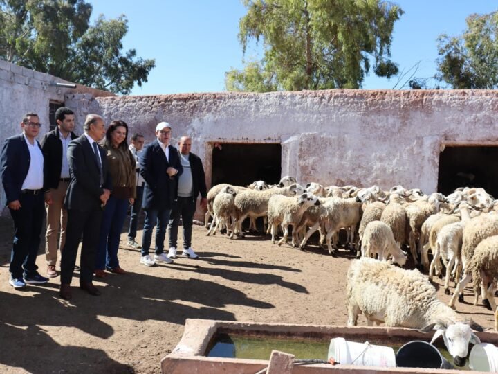 عامل قلعة السراغنة يزور مشاريع فلاحية