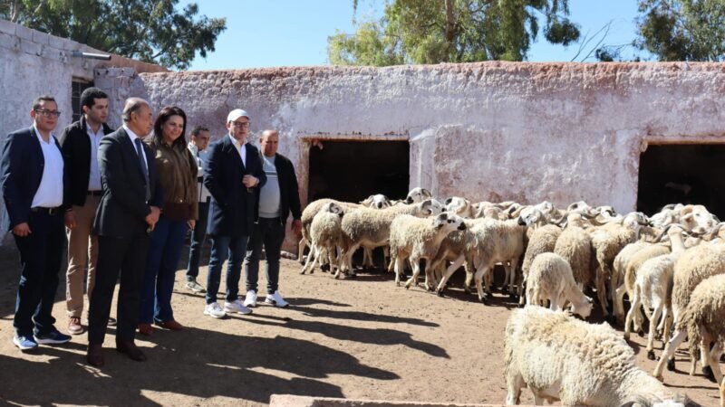 عامل قلعة السراغنة يزور مشاريع فلاحية