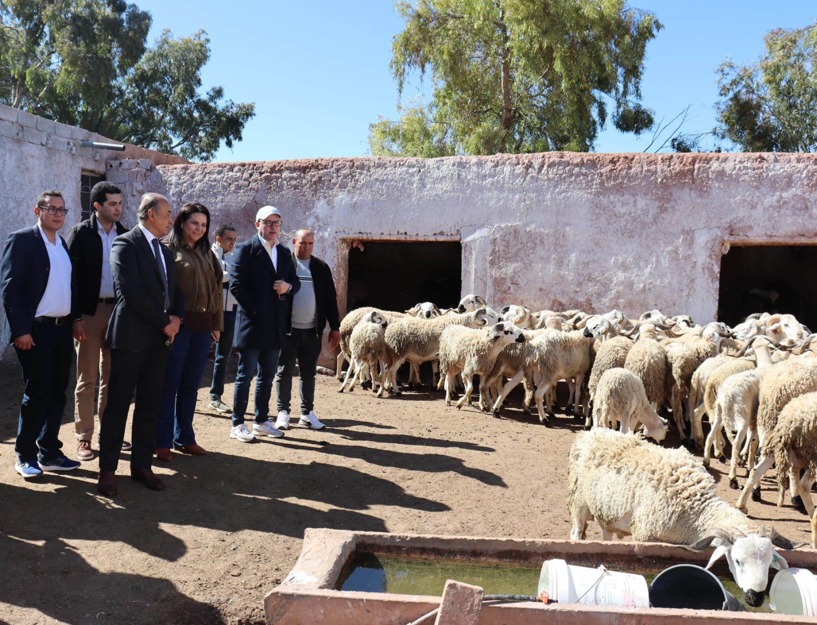 عامل قلعة السراغنة يزور مشاريع فلاحية