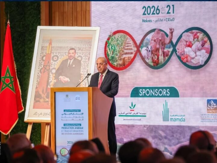 وزير الفلاحة: إنتاج الحبوب سيبلغ 90 مليون قنطار