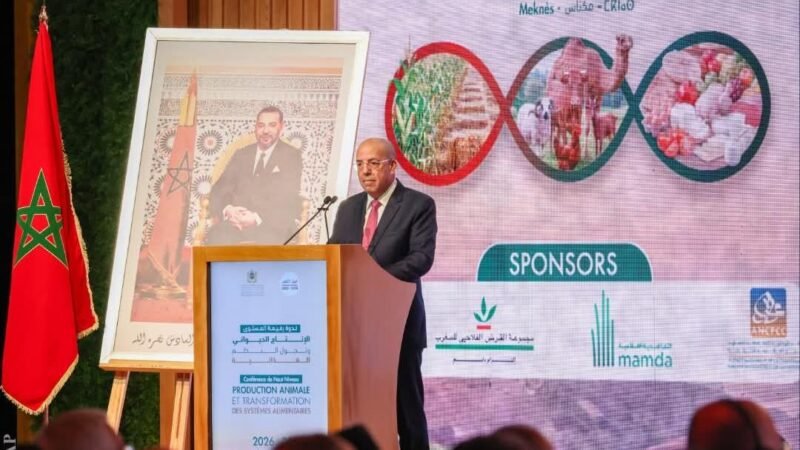 وزير الفلاحة: إنتاج الحبوب سيبلغ 90 مليون قنطار