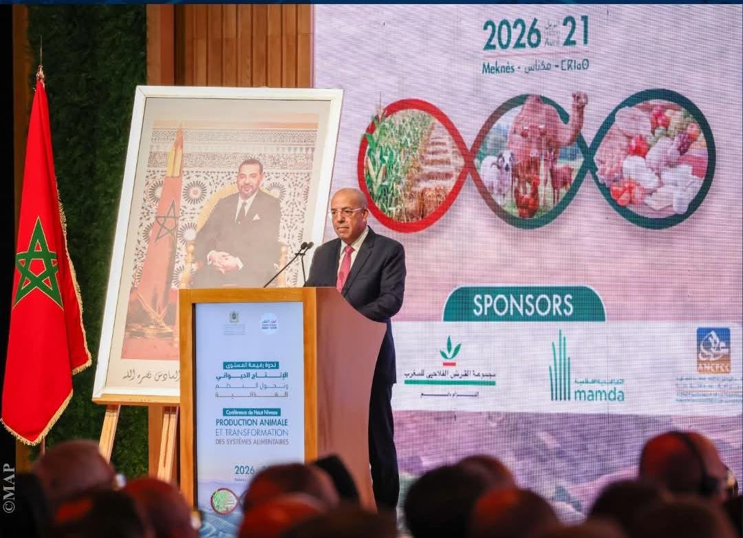 وزير الفلاحة: إنتاج الحبوب سيبلغ 90 مليون قنطار