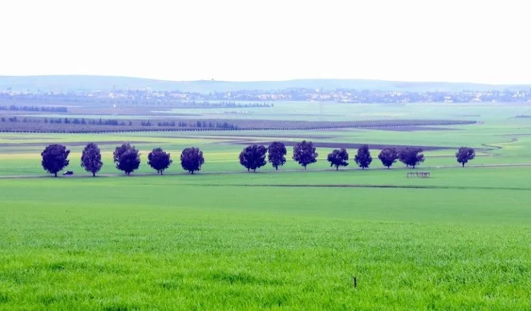 طقس اليوم السبت..ضباب وحرارة