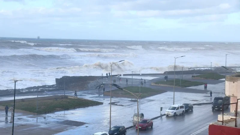 طقس اليوم الخميس..أمطار وضباب