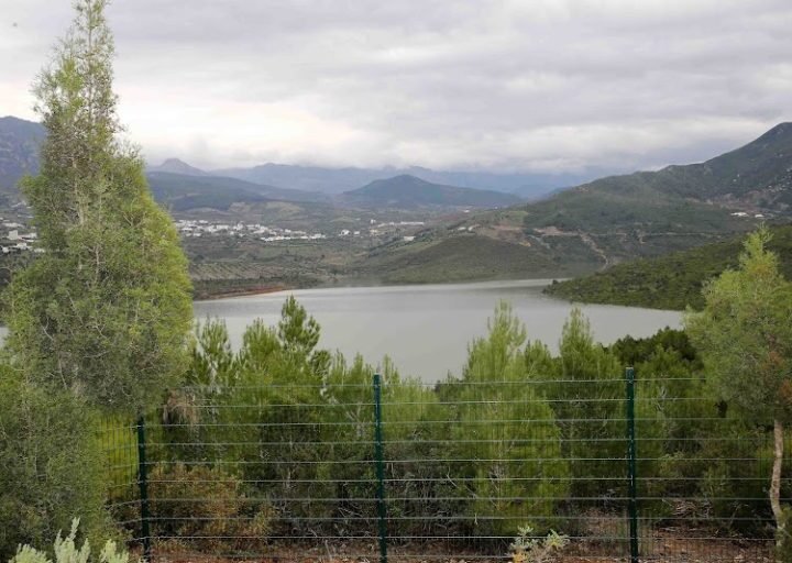 طقس اليوم الخميس..أجواء غائمة وأمطار خفيفة