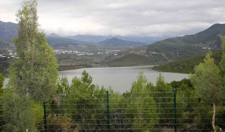 طقس اليوم الخميس..أجواء غائمة وأمطار خفيفة