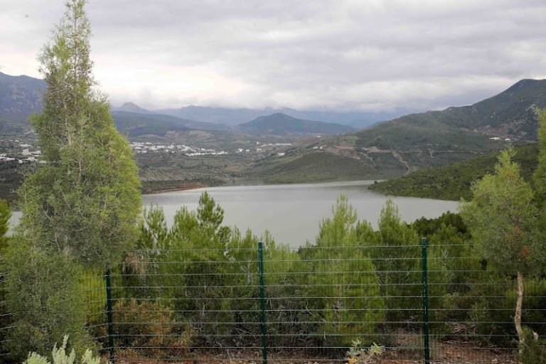 طقس اليوم الخميس..أجواء غائمة وأمطار خفيفة