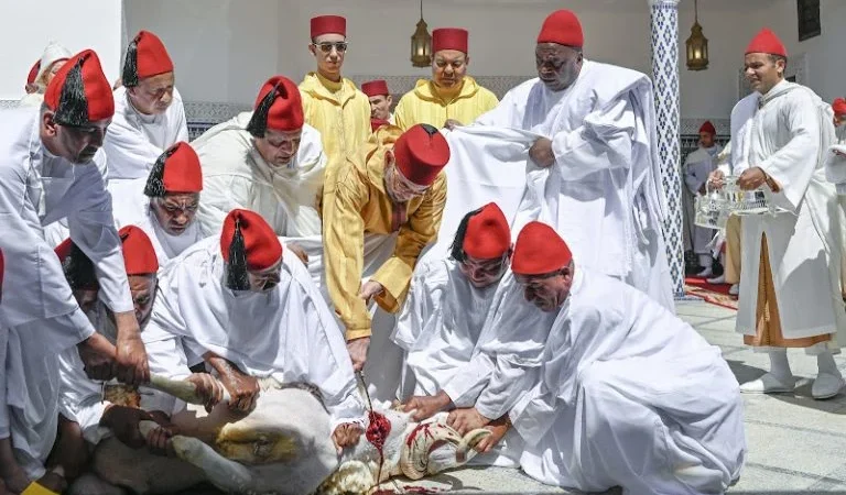 أمير المؤمنين يؤدي صلاة عيد الأضحى ويتقبل التهاني الرسمية