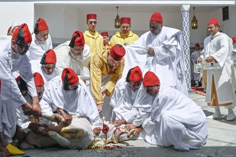 أمير المؤمنين يؤدي صلاة عيد الأضحى ويتقبل التهاني الرسمية