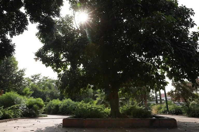 توقعات طقس اليوم الثلاثاء..حرارة وزخات رعدية