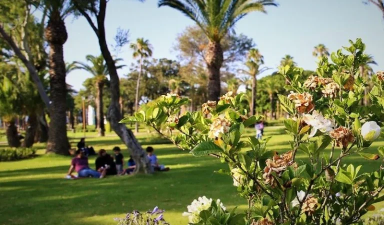 طقس اليوم الثلاثاء..حرارة نسبية وأمطار جد خفيفة
