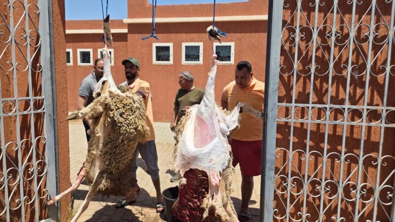 جمعية تتبرع بـ11 أضحية لفائدة نزلاء مستشفى الأمراض العقلية بقلعة السراغنة