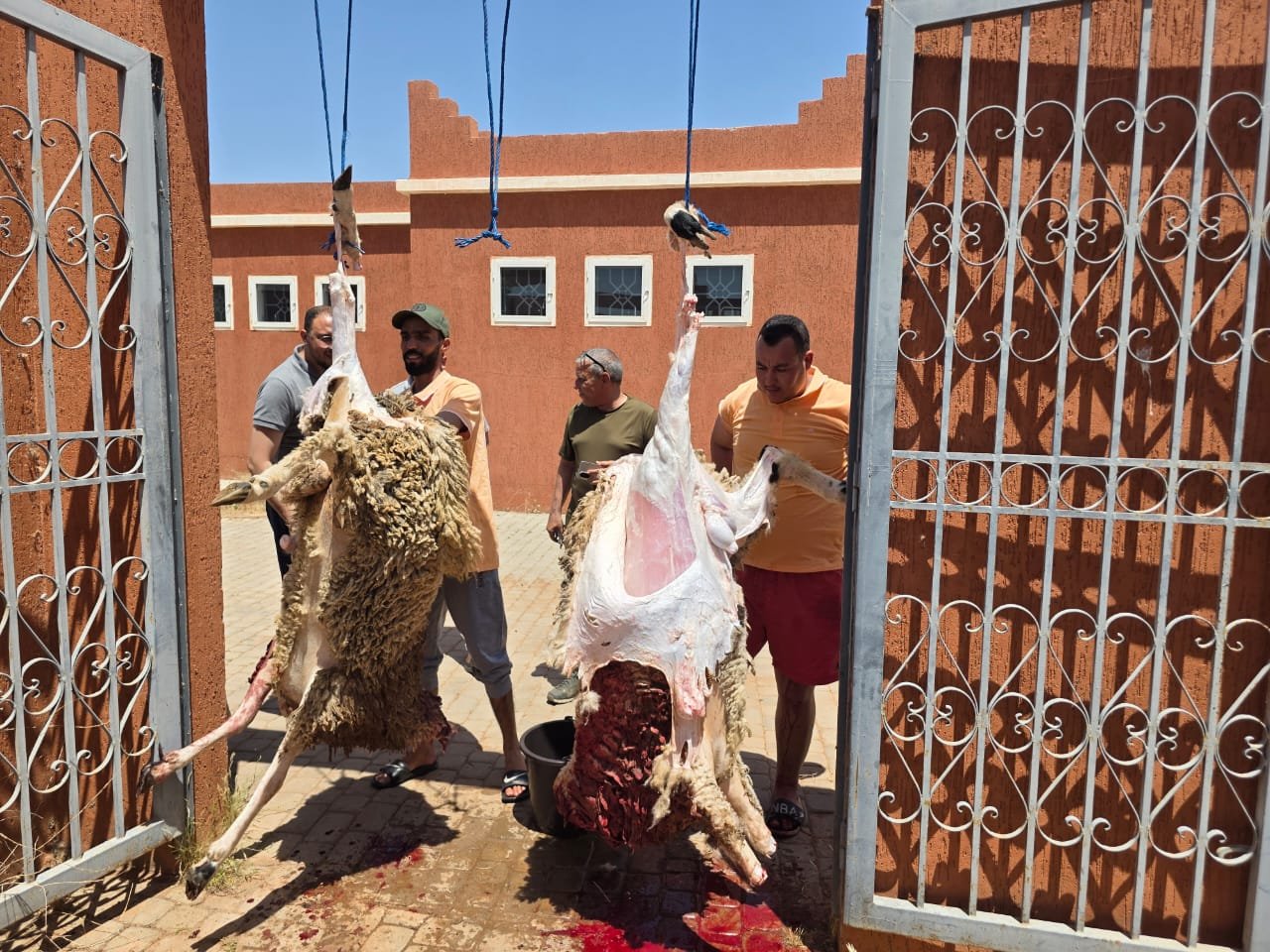جمعية تتبرع بـ11 أضحية لفائدة نزلاء مستشفى الأمراض العقلية بقلعة السراغنة