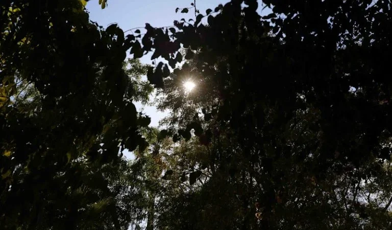 طقس اليوم الأحد..حرارة ورياح