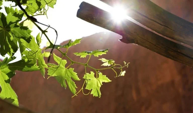 طقس الخميس..حرارة ورياح