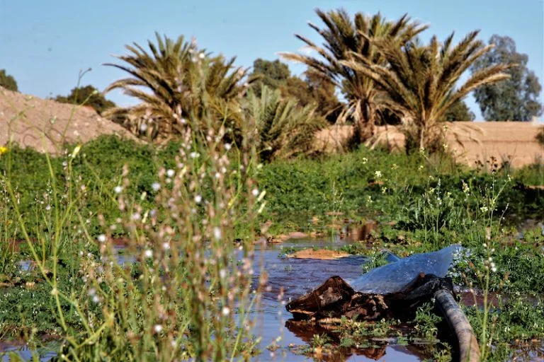 طقس السبت..حرارة وزخات رعدية