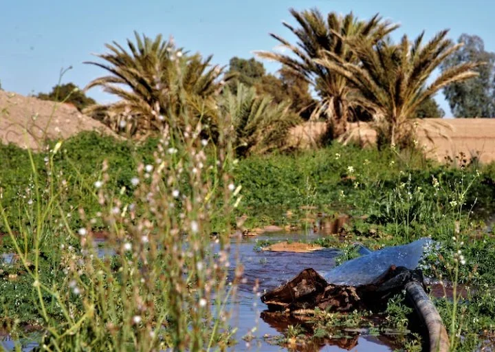 طقس الخميس..حرارة ورياح